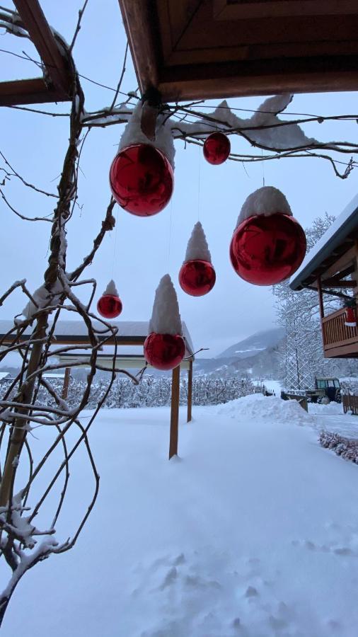 Bed and Breakfast La Tana Del Grillo Feltre Esterno foto